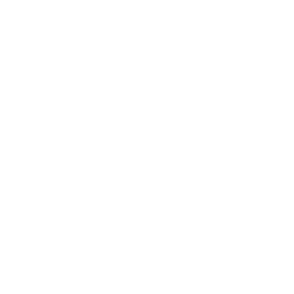 2021 EN My Curriculum Vitae