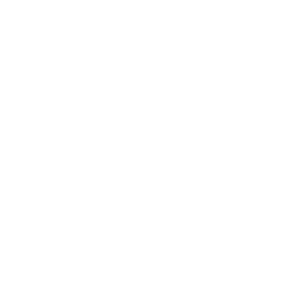 Berufsperspektiven-Psychologie